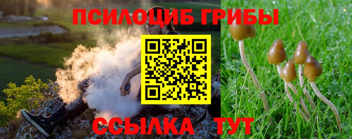 Псилоцибиновые грибы мухоморы Сатка